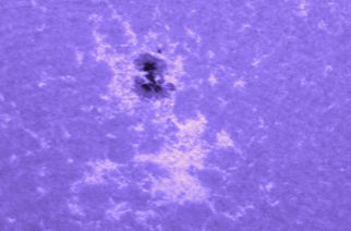 Image 3: Sunspot complex through the Calcium K module on the Explore Scientific ED80CF. Taken with the QHY5L-II and a TeleVue 2.5X PowerMate.